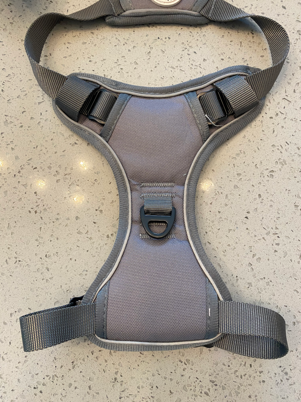 Dog Harness by Blue.