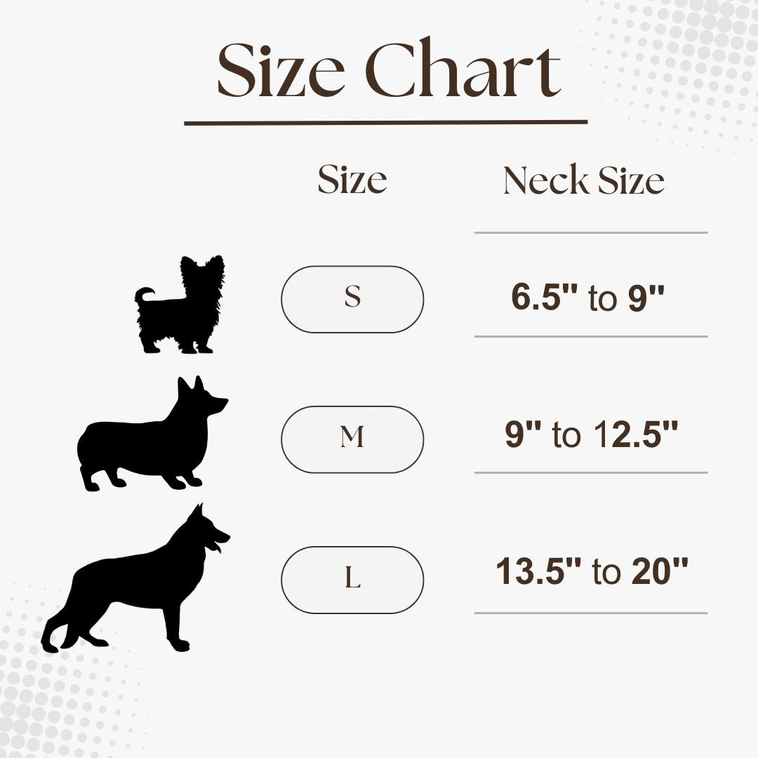 Premium Dog Collar by Blue.