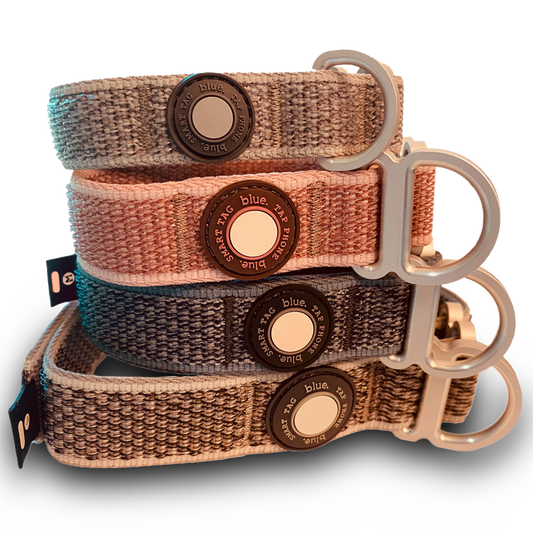 Premium Dog Collar by Blue.