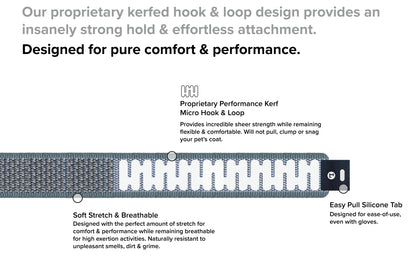 Premium Dog Collar by Blue.
